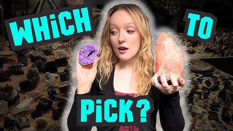 Did I Find the BEST Crystal & Fossil?? Gem & Mineral Show 2025