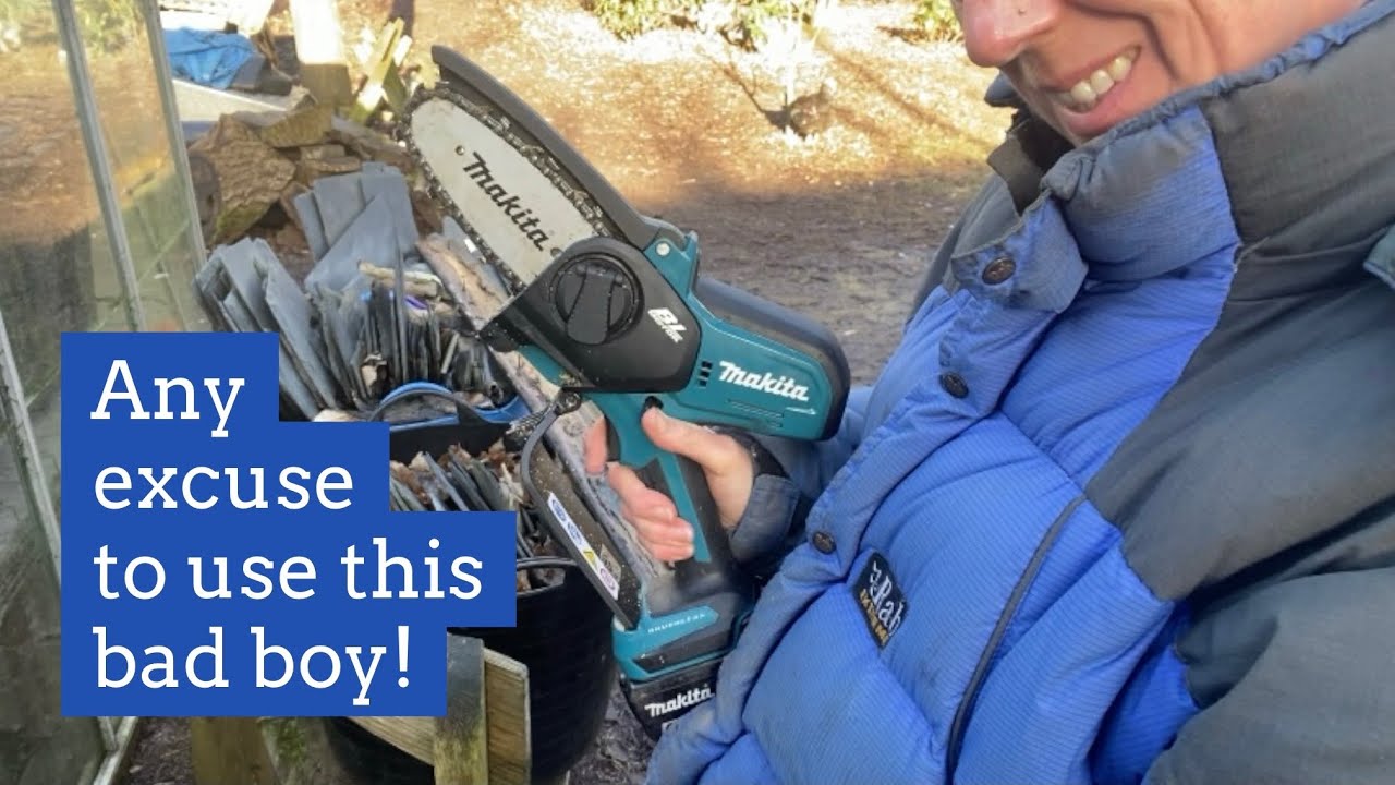 Winter Pruning & (Very) Early Seed Sowing ❄️🌱 