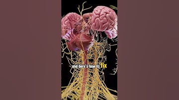 🧠5 GENIUS TIPS To Remember Anything Instantly! #short