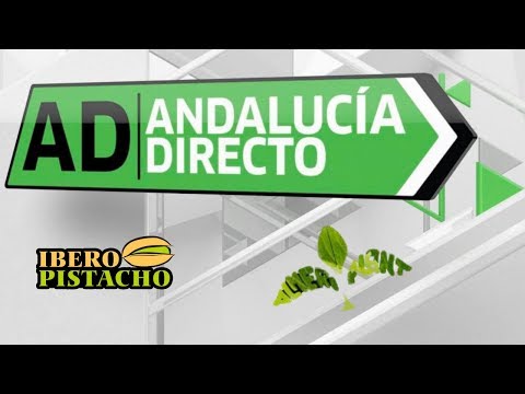 Andalucía Directo IberoPistacho and Partner Partner Almeriplant