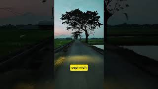 Episode 141 cicil bitcoin Rp10.000/hari with kurir top global