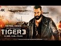 Tiger 3 | Full Movie HD 4K Facts | Salman Khan | Katrina Kaif | Emraan Hashmi |Maneesh Sharma |2023