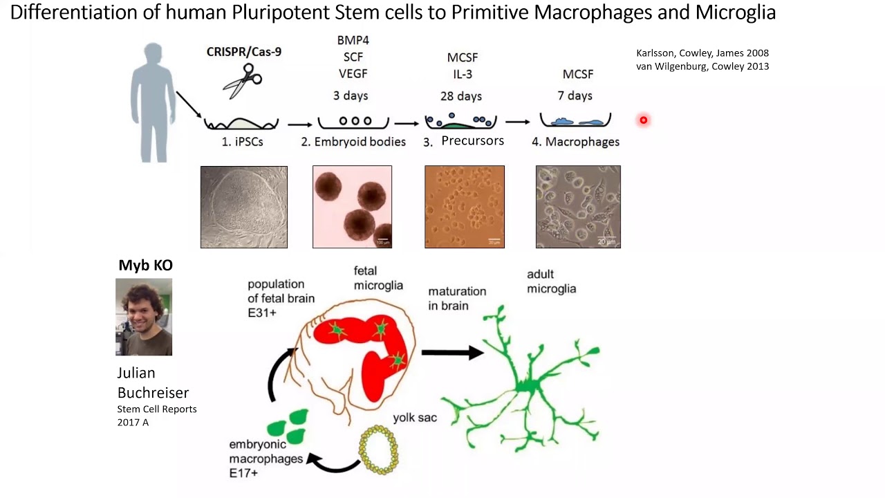 02/11/20 Sally Cowley (University of Oxford)