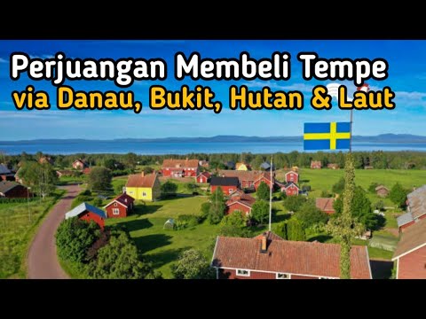 Kisah Perjuangan Membeli Tempe Melewati Danau, Bukit, Hutan dan Laut di Swedia
