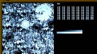DCT/Quantization/IDCT example run on C6000 of ZX Integrator