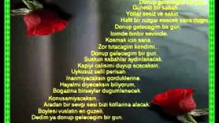 Ask Pinari saır tokay yalcın 2  video