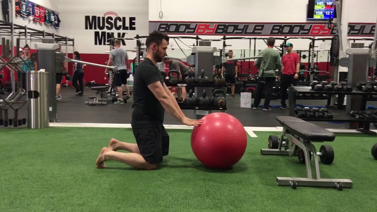 Stability Ball Rollout with Bench Block YouTube