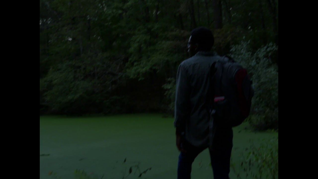 top movies on netflix A Man Walking Through the Woods