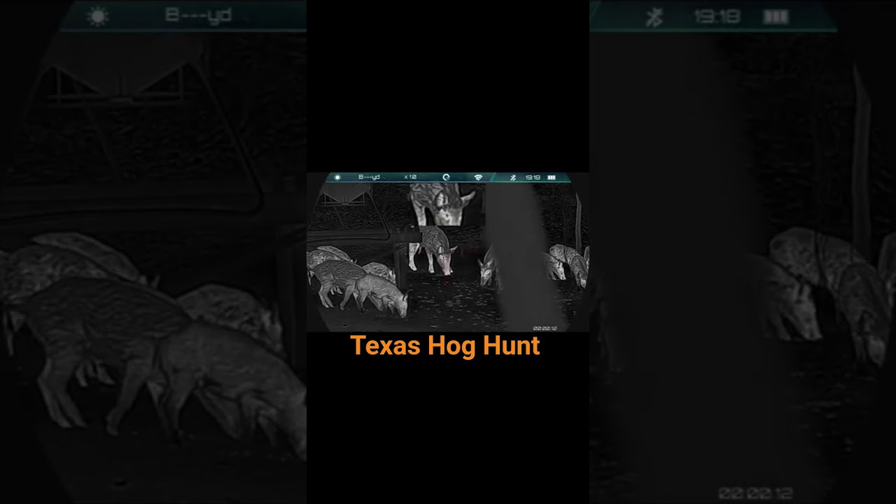 Texas was a success 👌