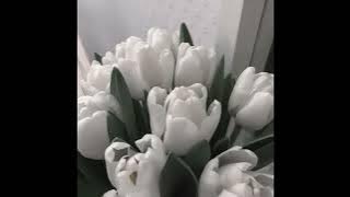 Download lagu dua lipa - new rules (speed up)