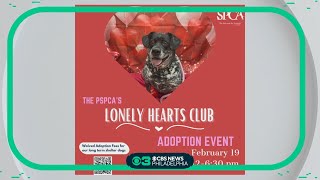 Pet Project: PSPCA hosting adoption event for long-term shelter dogs