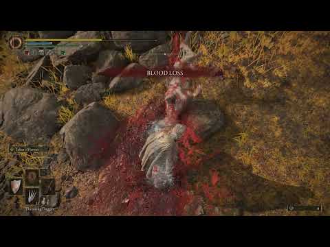Elden Ring Bleed Dog Pt 2 Electroboogaloo