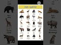 wild animals name in Kannada#shorts #viral