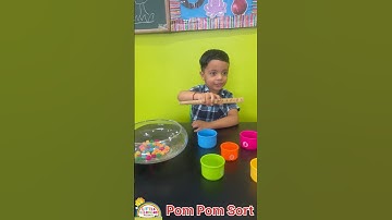 🎨 Pom Pom Sorting Fine Motor Acivity For Kids at Little Illusions Preschool! 🌈