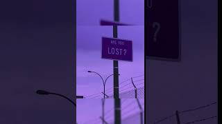 [140+] are you lost  - free one shot kit. full video - 