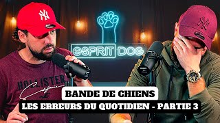 LES ERREURS À ÉVITER AVEC SON CHIEN ! Partie 3  Bande de chiens