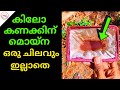 കിലോ കണക്കിന് മൊയ്‌ന ഒരു ചിലവും ഇല്ലാതെ|Moina Multiplying like crazy...