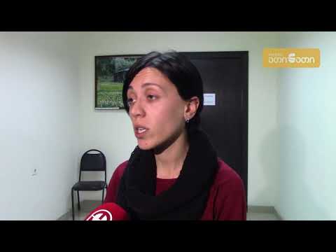 ოპოზიცია „თაუნ პარკის“ საკითხის შესწავლას ითხოვს