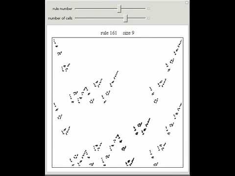 Cellular Automata as Mappings