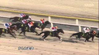 2013 かしわ記念（ホッコータルマエ）HD - YouTube