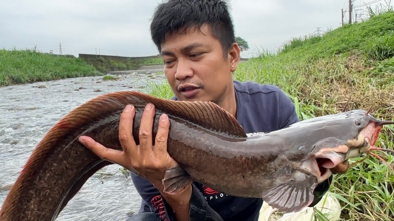 The Catfish Hunter YouTube