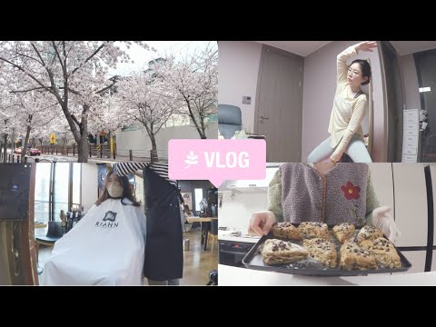 [브이로그] 벚꽃 구경 / 통닭과 떡볶이 / 질리지않고 지쳐 / 허벅지 늬들 좀 떨어져라 / 새로운 취미 / 초코스콘 르뱅쿠키 / 샤워용품 소개 / 언니네 갔다 미용실 / VLOG