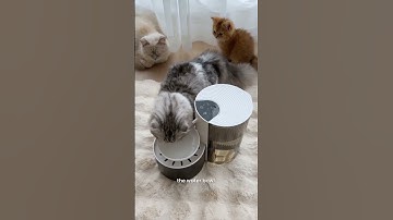 Surprise from Temu #Temu