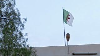 Hello 👋بث مباشر