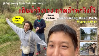 Melbourne Vlog Ep.9 : เดินป่าแปลกๆตามหาจิงโจ้ และชิลๆริมแม่น้ำ Yarra @Warrandyte ชานเมืองเมลเบิร์น