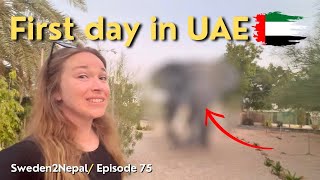 Travel vlog - I Can't Believe My Eyes | United Arab Emirates | [E75]