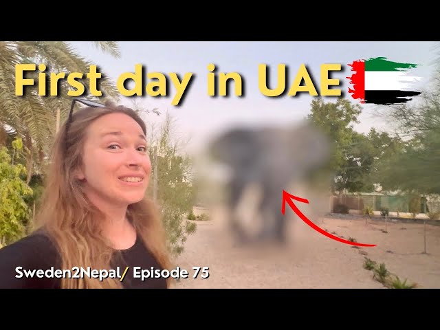 Travel vlog - I Can't Believe My Eyes | United Arab Emirates | [E75]