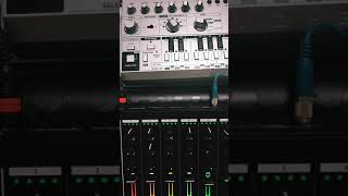 Roland Mc-707 & TD-3  #shorts synth Dawless