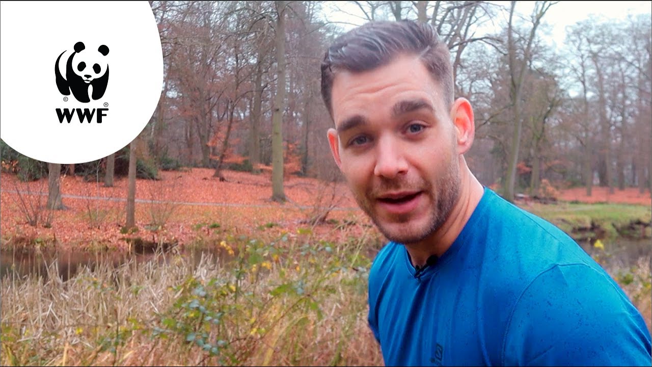 Plastic afvallen met Fitcoach Mark Schadenberg