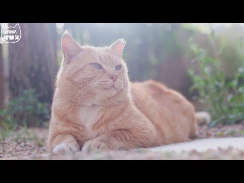 아 귀여워 .. 귀엽다 .. 너무 귀여운데 ?