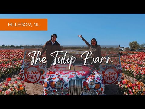 The Tulip Barn 2023 - Hillegom, The Netherlands
