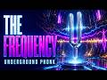 The Frequency