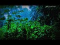 The sound of rain in the wild can lull you to sleep #ASMR #RainASMR #NatureSounds #SleepSound
