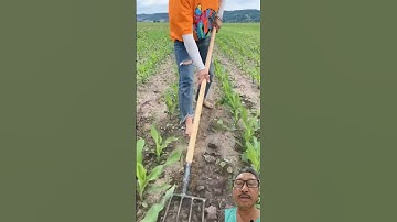 Dụng cụ xới đất cầm tay #farming #shorts