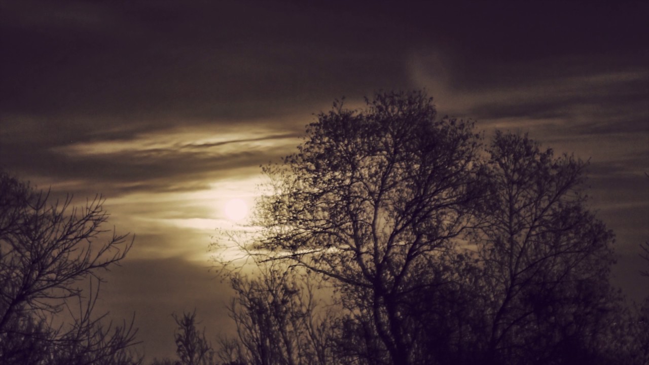 moonrise-supermoon 2017