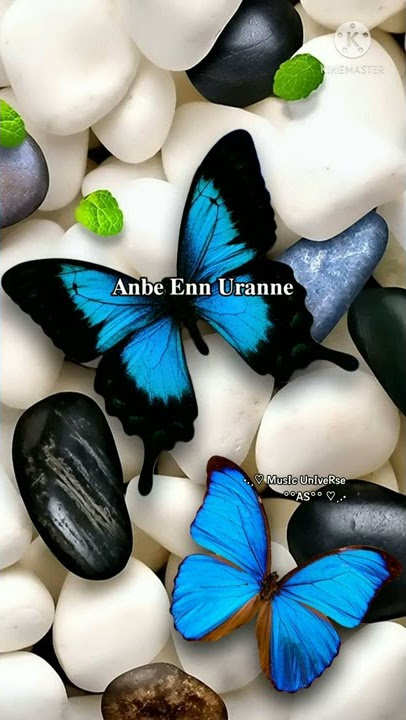 💕Kili Irandu💕Manitha Manitha 💕AR Rahman💕 Video Lyrics song💕Tamil Whatsapp Status Songs💕