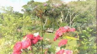 Jardin de rosas (garden roses) Lynn Anderson. traducida Español