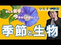 6年生入試直前!覚えるの苦手?今やるしかない!季節と生物