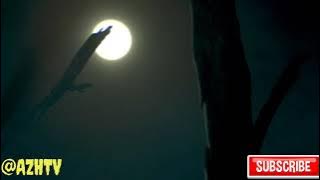 Movie clip hd 1080p. Dwarves must be crazy part(5/15)