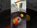 Marble Run ASMR⭐Superstar balls Special Course EPIC ⑤