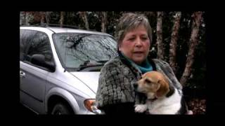 Pet Rescue Second Chances Part 1