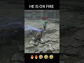 ELDEN RING #eldenring #eldenringclips #eldenringdlc #gaming