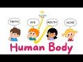 Learning Videos for Toddler| MY BODY PARTS BOOGIE | All about my body| Songs for Kids New Poem