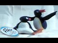 Pingu's Icy Adventure! | @Pingu - Official Channel | Cartoons for Kids