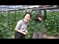 【生産者インタビュー】日本最大級のマスクメロン農園！美味しいメロンが育つ秘密を大公開