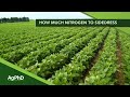 Sidedressing with Nitrogen (From Ag PhD Show #1155 - Air Date 5-24-20)